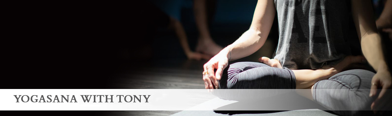 Yogasana-Header_20201101 Yogasana-Header_20201101