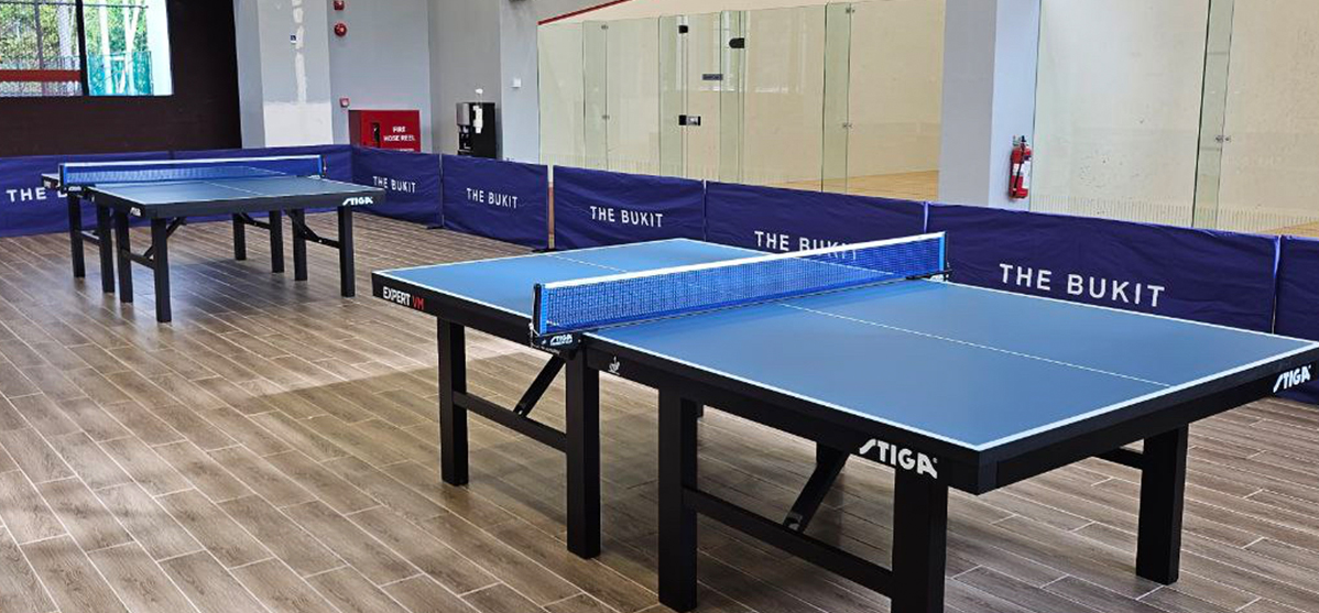 TableTennis_Court
